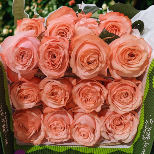 BE SWEET